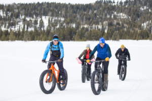 Group of four fatbikers riding along a snow covered trail